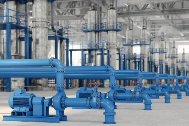 Best Local Plumber Services  in Neoga, IL