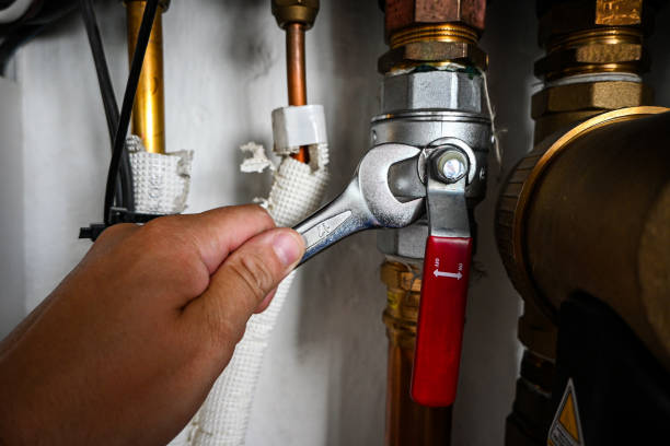Best Sewer Line Repair  in Neoga, IL